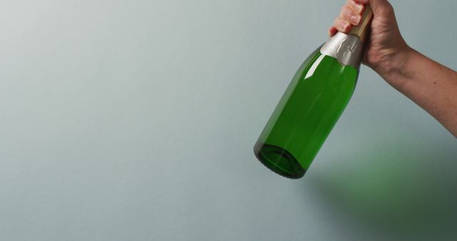 Close up of hand holding bottle of champagne on gray background. studio shot, food autumn and celebration concept.