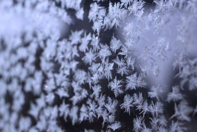 Frost frosted glass - Download Free Stock Photos Pikwizard.com