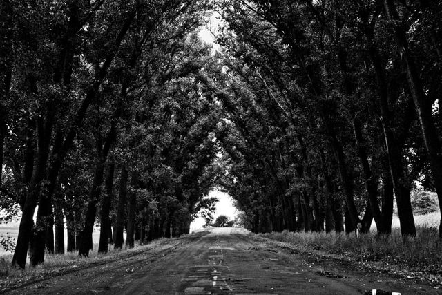 Black and white street road- Download Free Stock Photos Pikwizard.com