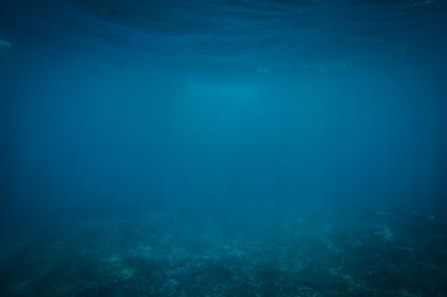 Under water ocean sea- Download Free Stock Photos Pikwizard.com