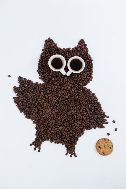 Coffee beans and cups forming owl with cookie - Download Free Stock Photos Pikwizard.com