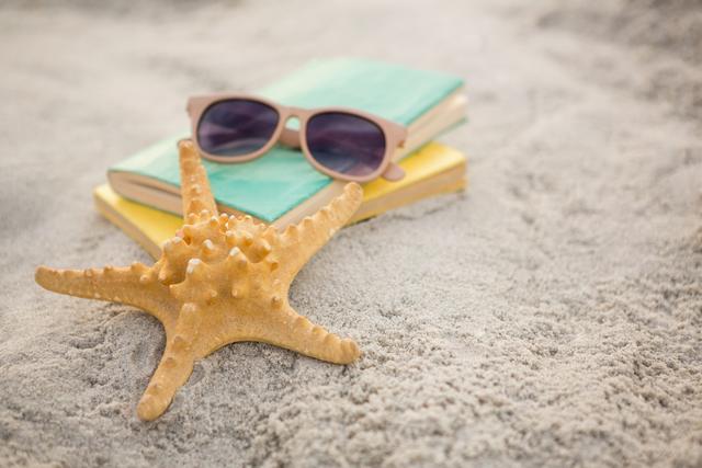 Starfish, sunglasses and books on sand  - Download Free Stock Photos Pikwizard.com
