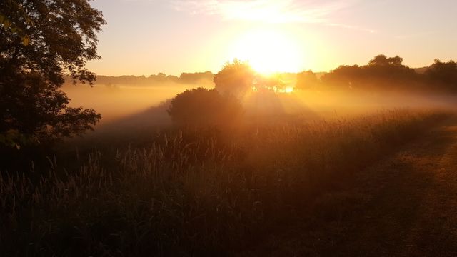the sun rising over a field - Download Free Stock Photos Pikwizard.com