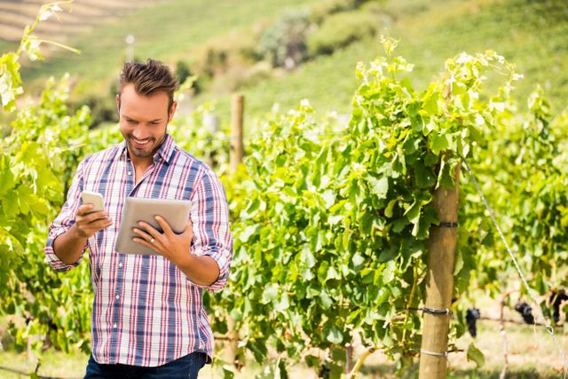 Man using tablet and phone at vineyard on sunny day - Download Free Stock Photos Pikwizard.com