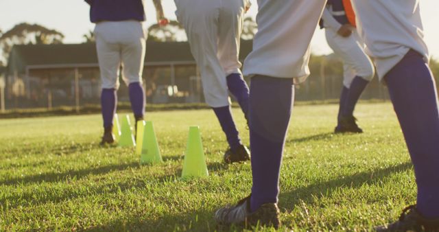 Diverse group of female baseball players exercising on pitch, running between cones - Download Free Stock Photos Pikwizard.com