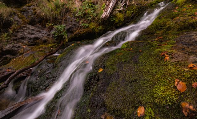 Green Mossy Rock Near on Waterfalls - Download Free Stock Photos Pikwizard.com