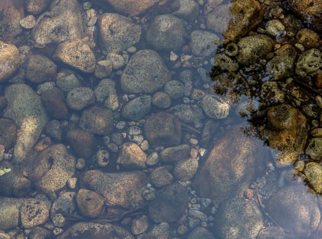 Brown and Black Rocks on Clear Body of Water during Daytime - Download Free Stock Photos Pikwizard.com