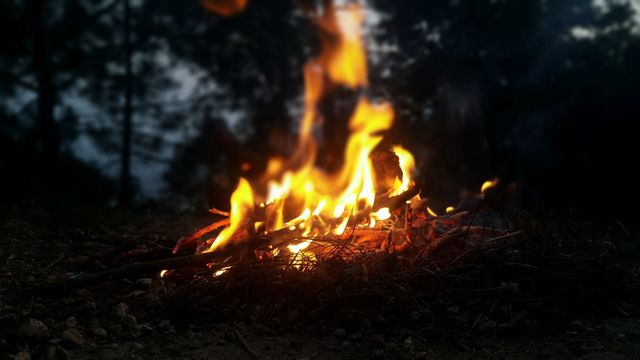 Bonfire campfire fire flame - Download Free Stock Photos Pikwizard.com