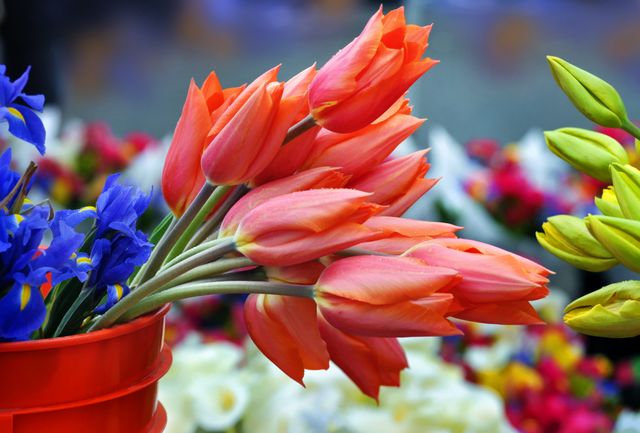 Flowers saturday market tulips - Download Free Stock Photos Pikwizard.com