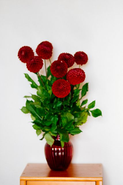 Red Flower Vase - Download Free Stock Photos Pikwizard.com