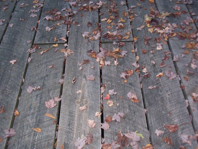 Leaves on Wood Planks - Download Free Stock Photos Pikwizard.com