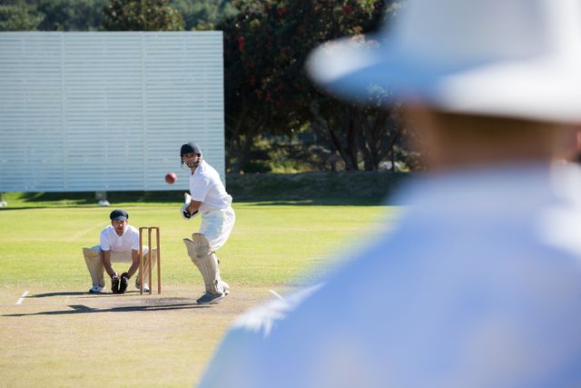 Rear view of umpire standing at cricket match field - Download Free Stock Photos Pikwizard.com