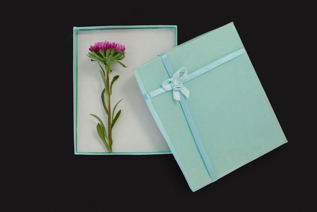 Opened gift box with a flower - Download Free Stock Photos Pikwizard.com