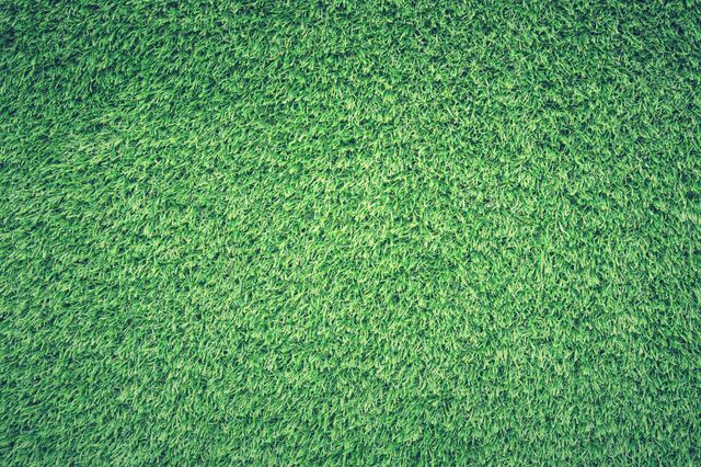 Green Grass Lawn - Download Free Stock Photos Pikwizard.com