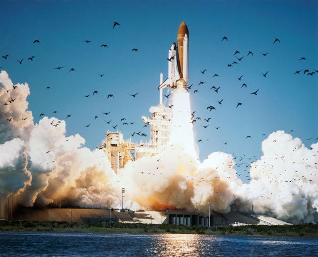51L-S-156 (28 Jan. 1986) --- The space shuttle Challenger lifted off from Pad 39B Jan. 28, 1986 at 11:38 a.m. (EST) with a crew of seven astronauts and the Tracking and Data Relay Satellite (TDRS). An accident 73 seconds after liftoff claimed both crew and vehicle. Photo credit: NASA