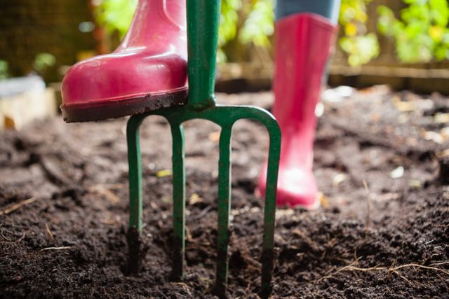 Low section of woman wearing pink rubber boot standing with gardening fork on dirt - Download Free Stock Photos Pikwizard.com