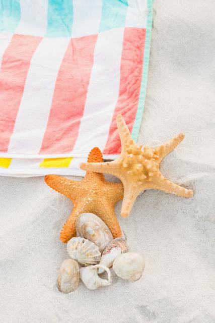 Starfish, sea shells and beach blanket on sand - Download Free Stock Photos Pikwizard.com