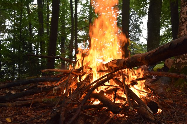 Adventure burn campfire embers - Download Free Stock Photos Pikwizard.com