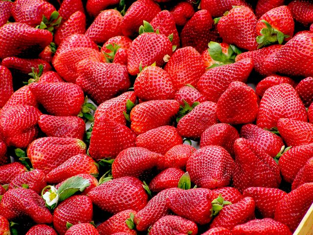 Red Strawberries - Download Free Stock Photos Pikwizard.com