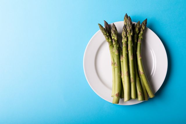 Directly above shot of asparagus in plate on blue background, copy space - Download Free Stock Photos Pikwizard.com