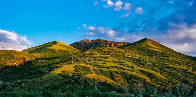 Hills Photos, Download The BEST Free Hills Stock Photos & HD Images