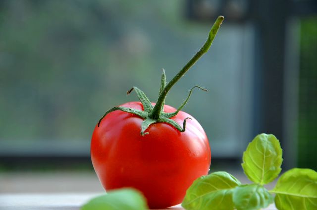 Tomato Vegetable Produce - Download Free Stock Photos Pikwizard.com