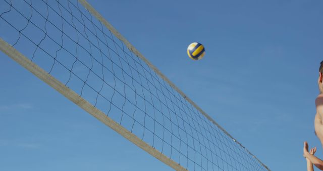 6 462 Friends playing beach volleyball Bilder, stockbilder, 3D