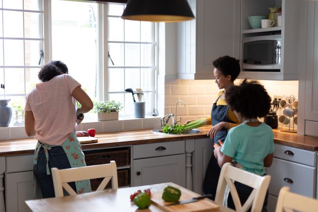 Mixed race lesbian couple and daughter preparing food in kitchen - Download Free Stock Photos Pikwizard.com