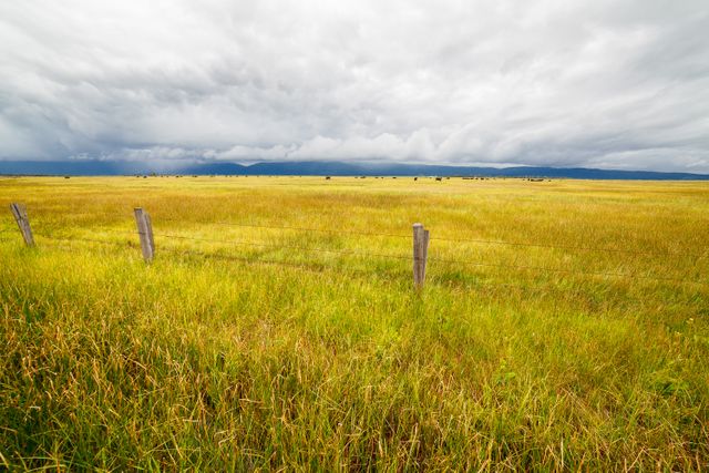 Field Landscape Wheat - Download Free Stock Photos Pikwizard.com