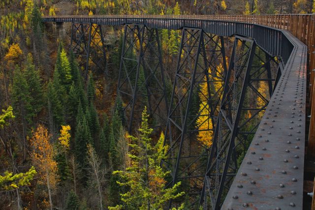 Autumn bridge color conifer - Download Free Stock Photos Pikwizard.com