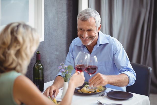 Mature couple toasting their glasses of red wine - Download Free Stock Photos Pikwizard.com