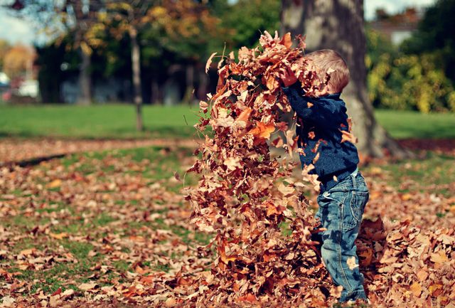 Boy Playing With Fall Leaves Outdoors - Download Free Stock Photos Pikwizard.com