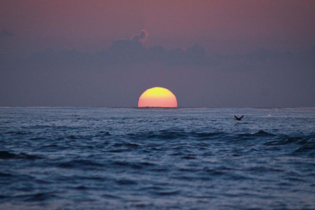 California lajolla ocean ocean sunset - Download Free Stock Photos Pikwizard.com