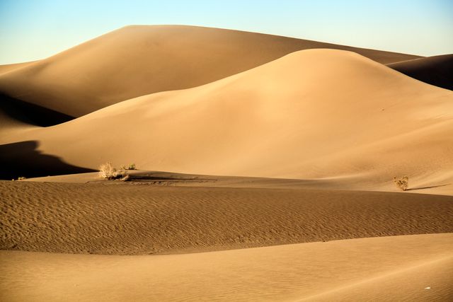 100+ Desert Background Images | FREE Image Downloads | Pikwizard