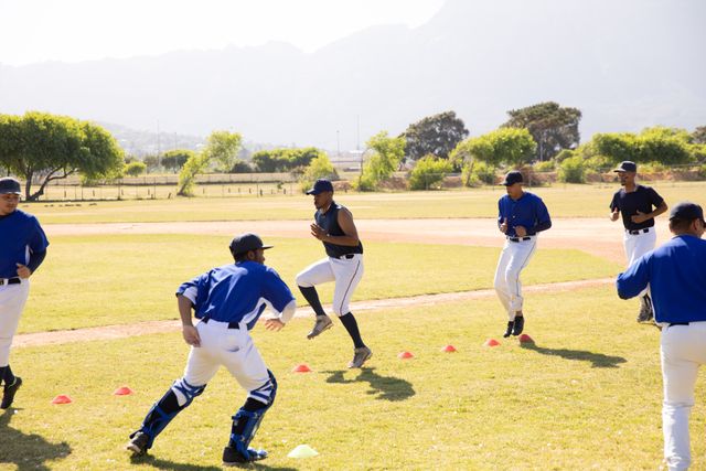 Team of baseball players training in the field - Download Free Stock Photos Pikwizard.com