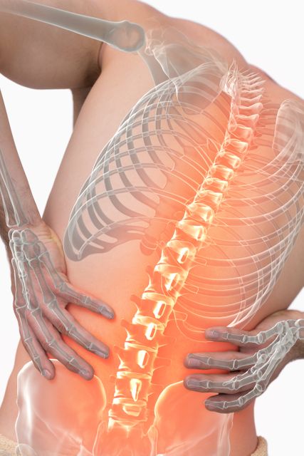 Digital composite of highlighted spine of man with back pain - Download Free Stock Photos Pikwizard.com