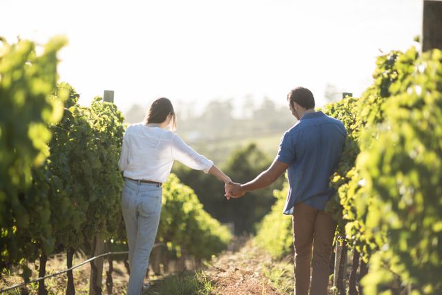 Rear view of couple holding hands at vineyard - Download Free Stock Photos Pikwizard.com