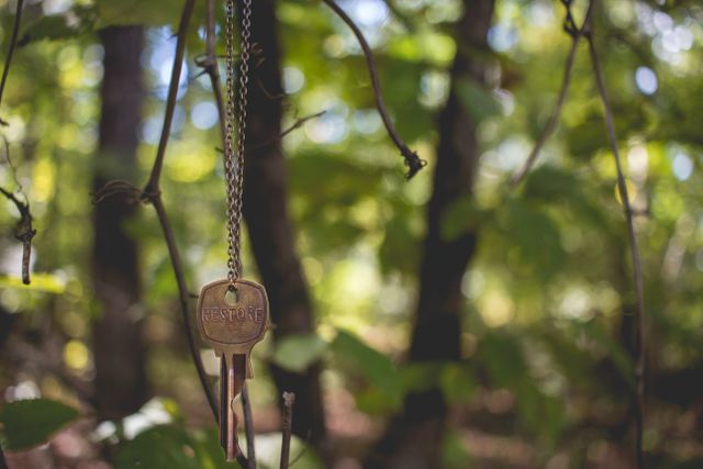 Brown Key Hanged on Tree Branch in Focus Photography - Download Free Stock Photos Pikwizard.com