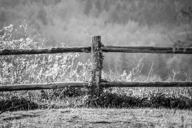 Abandoned black and white blurred background countryside - Download Free Stock Photos Pikwizard.com