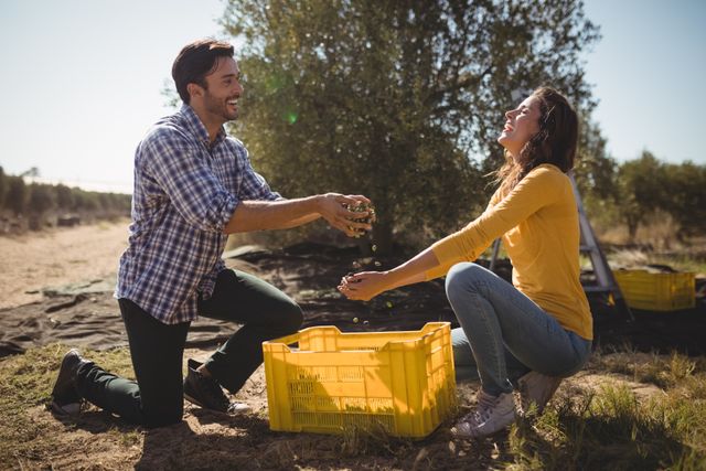 Playful couple holding olives while kneeling at farm - Download Free Stock Photos Pikwizard.com