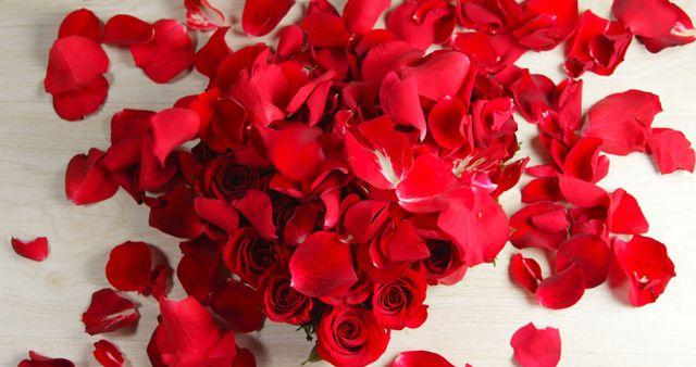 Flowers Background Red Roses Petals Red Small Hearts White