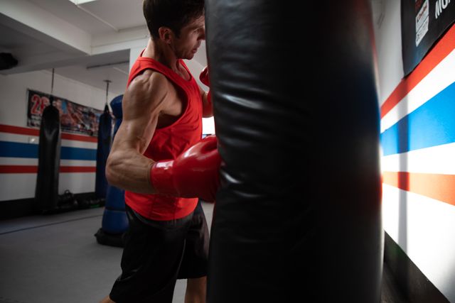 Caucasian man training on punching ball in boxing gym - Download Free Stock Photos Pikwizard.com