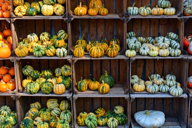 Autumn benefit from decoration farm - Download Free Stock Photos Pikwizard.com