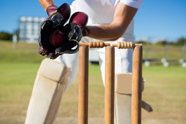 Cropped image of wicket keeper standing by stumps - Download Free Stock Photos Pikwizard.com