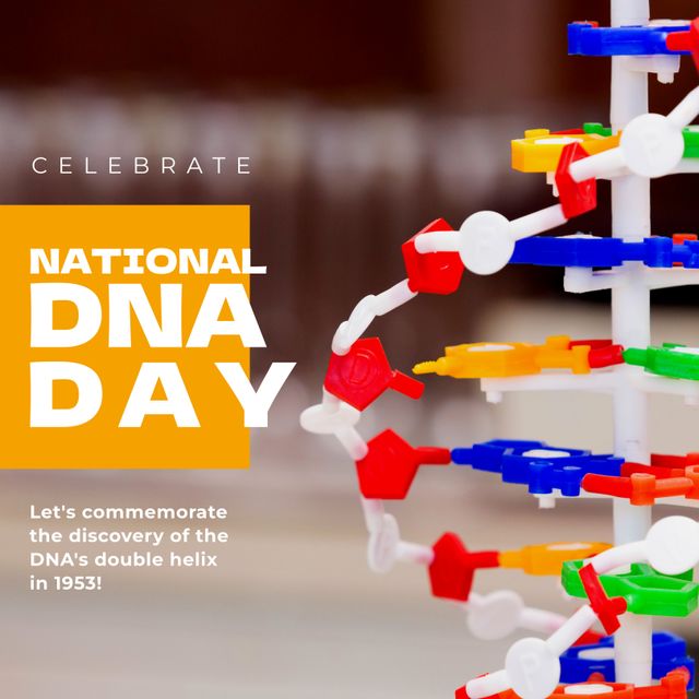 Composition of dna day text over 3d model of dna strand. Dna day, science and research concept digitally generated image.