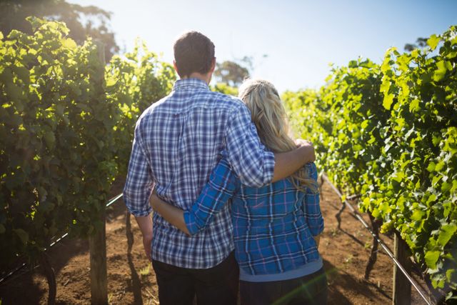 Rear view of couple embracing at vineyard during sunny day - Download Free Stock Photos Pikwizard.com