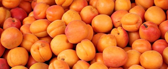 Agriculture apricots delicious eat - Download Free Stock Photos Pikwizard.com