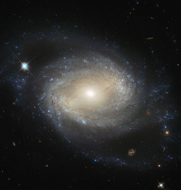 Hubble Sees Elegant Spiral Hiding a Hungry Monster - Download Free Stock Photos Pikwizard.com