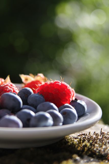 Red and Purple Berries on Plate - Download Free Stock Photos Pikwizard.com