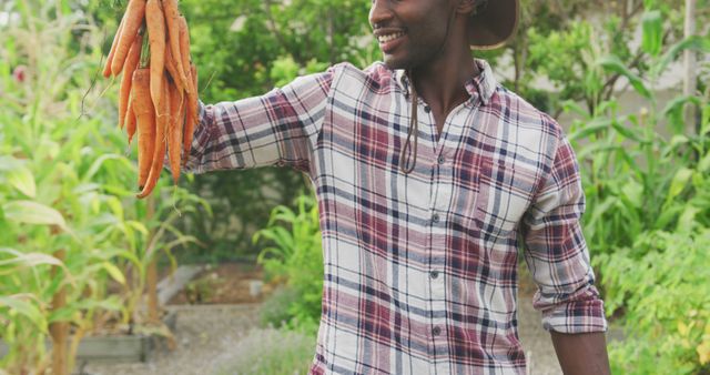Smiling african american man holding bunch of fresh carrots in garden. Gardening, organic food, healthy eating, hobbies and nature.